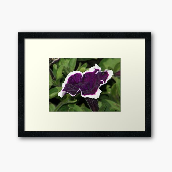 Item preview, Smiley Face on Purple and White Trumpet designed and sold by Len Bomba.