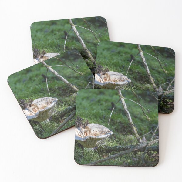 Item preview, Mushroom on Sleeping Giant Trail designed and sold by jrtwynam.
