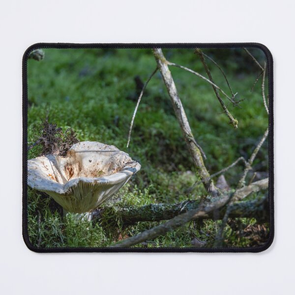 Item preview, Mushroom on Sleeping Giant Trail designed and sold by jrtwynam.