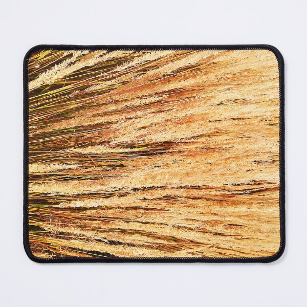 Item preview, Olas doradas de hierba - Calamagrostis acutiflora designed and sold by Art-Arcade6.
