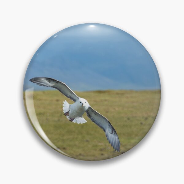 Item preview, Incoming Northern Fulmar at Arnarstapi designed and sold by Debra Martz.