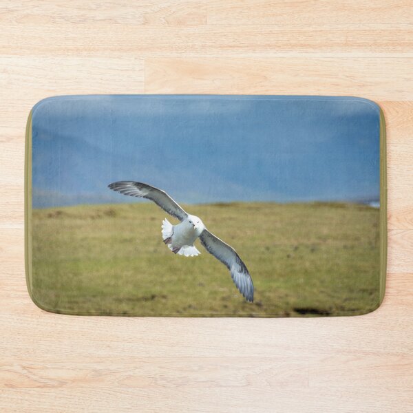 Item preview, Incoming Northern Fulmar at Arnarstapi designed and sold by Debra Martz.