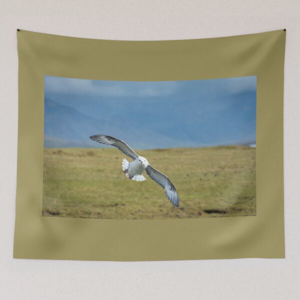 Item preview, Incoming Northern Fulmar at Arnarstapi designed and sold by Debra Martz.