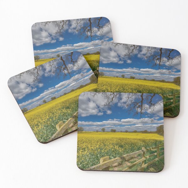 Item preview, Bright yellow Rapeseed in bloom at Marsh Farm in Kent England UK designed and sold by John Gilham - Landscape Photography.