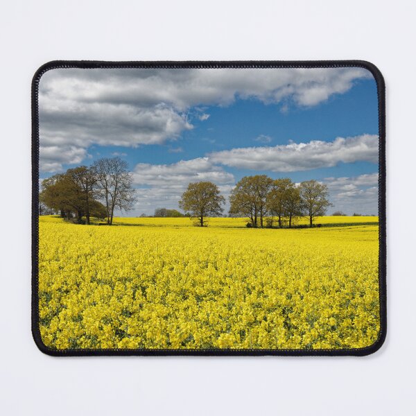 Item preview, Bright Yellow crops of rapeseed on a farm in Kent England UK designed and sold by John Gilham - Landscape Photography.