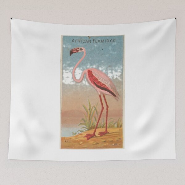 Item preview, Vintage Pink Flamingo Illustration (1889) 	 	 designed and sold by jerbefrantip.