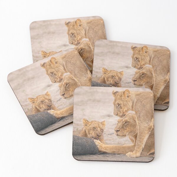 Item preview, Three Lions at the Kill Zimbabwe designed and sold by PhotoArt by Joan Carroll.