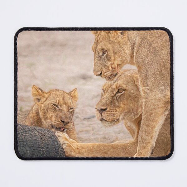 Item preview, Three Lions at the Kill Zimbabwe designed and sold by PhotoArt by Joan Carroll.