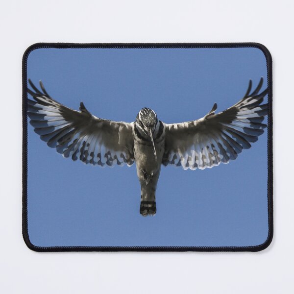 Item preview, PIED KINGFISHER designed and sold by LaGalleria-BNS by Moses Benson Gallery.