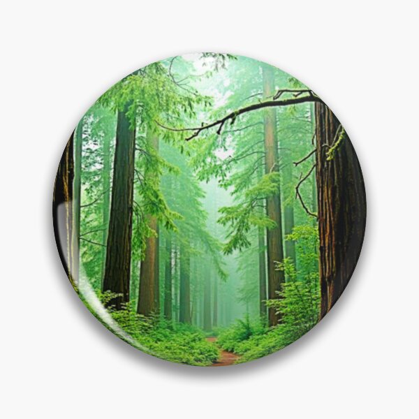 Artikelvorschau, Redwood Forest Misty Tranquility Design entworfen und verkauft von Health And Fitness Posts e-Store.