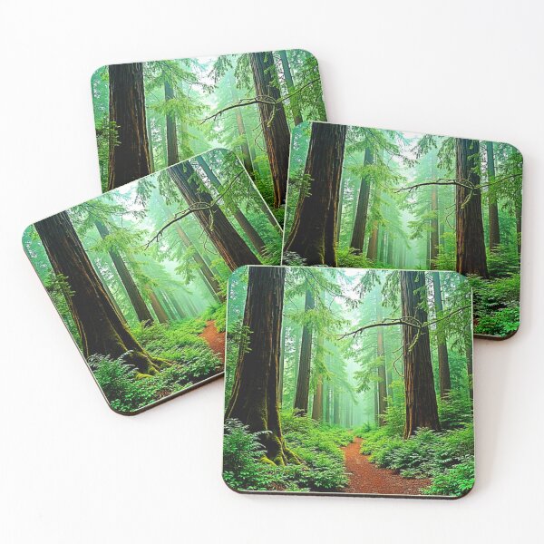Item preview, Redwood Forest Misty Tranquility Design designed and sold by Health And Fitness Posts e-Store.