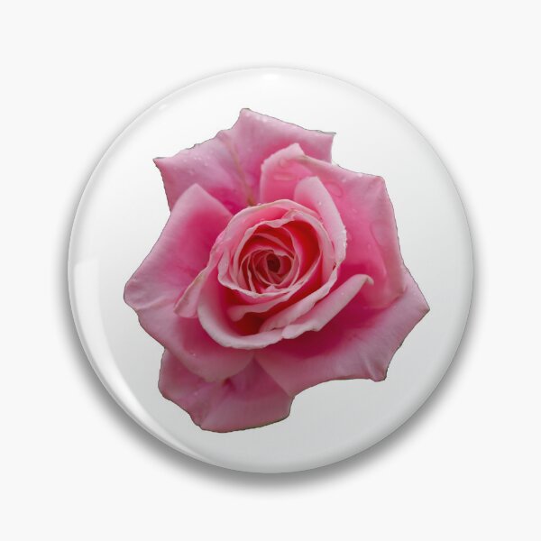 Item preview, Pink Rose  designed and sold by Phelan's Photos.