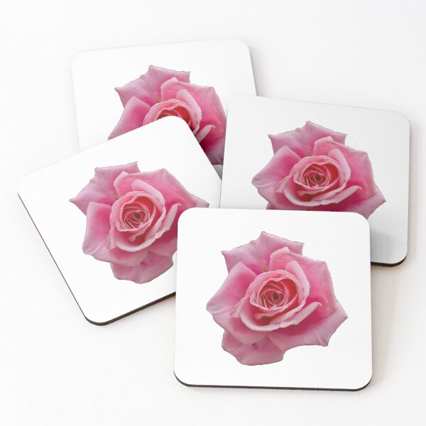 Item preview, Pink Rose  designed and sold by Phelan's Photos.