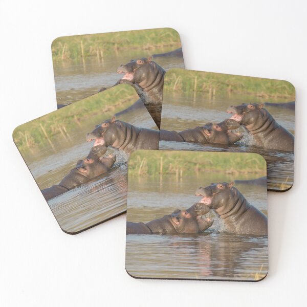 Item preview, Clash of Hippos — Power and Fury on the African River designed and sold by DavideAntoniani.