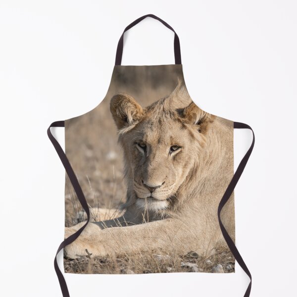 Item preview, Young Lion of Kgalagadi — The Future King Resting in the Dunes designed and sold by DavideAntoniani.