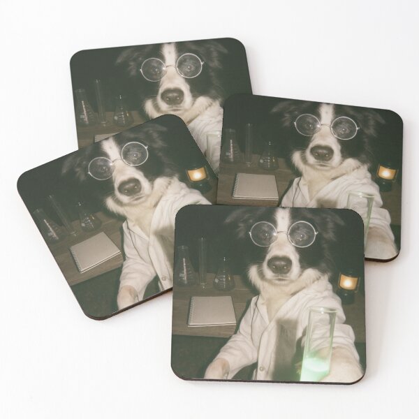 Item preview, Border Collie Scientist Dog Selfie Photo designed and sold by Flying Doggo.