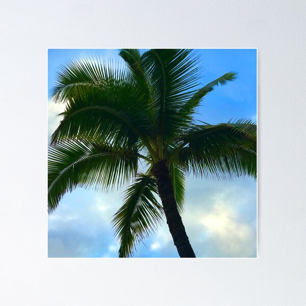 Item preview, Hawaiian Tropical Palm Tree In Sky Art Photo designed and sold by DEC02.