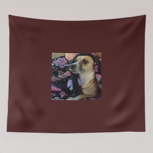 Item preview, Chihuahua w/blanket designed and sold by DIAMONDGOIL.