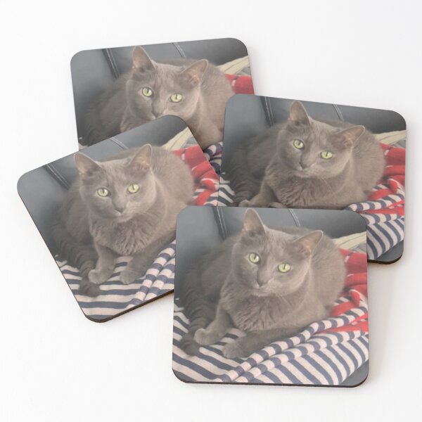 Item preview, Gracie the Cat | Chilling Out at 16 Years Old | Cozy Pet Lover Desi designed and sold by TheJCGallery.