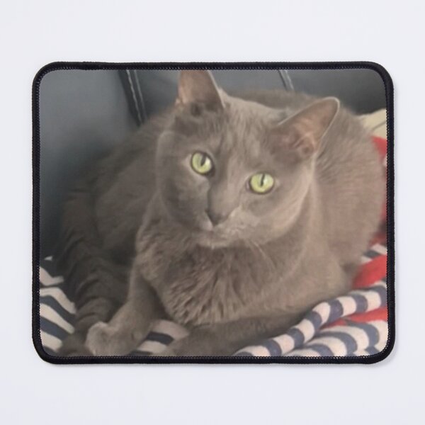 Item preview, Gracie the Cat | Chilling Out at 16 Years Old | Cozy Pet Lover Desi designed and sold by TheJCGallery.