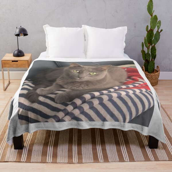Item preview, Gracie the Cat | Chilling Out at 16 Years Old | Cozy Pet Lover Desi designed and sold by TheJCGallery.