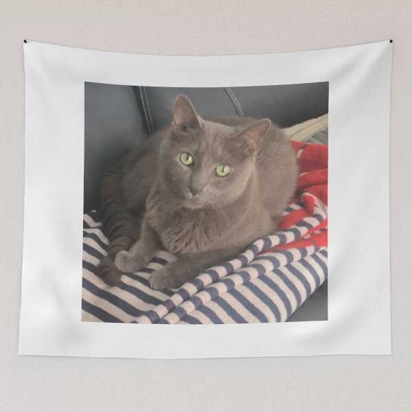 Item preview, Gracie the Cat | Chilling Out at 16 Years Old | Cozy Pet Lover Desi designed and sold by TheJCGallery.