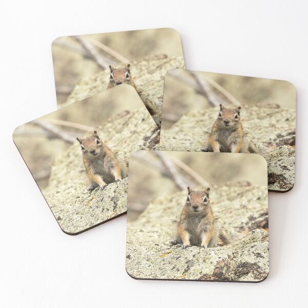 Item preview, Curious Chipmunk on Rocky Perch designed and sold by Jarrett720.