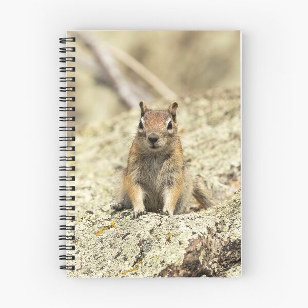 Item preview, Curious Chipmunk on Rocky Perch designed and sold by Jarrett720.
