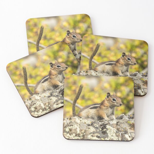 Item preview, Alert Chipmunk on Lichen-Covered Rock designed and sold by Jarrett720.