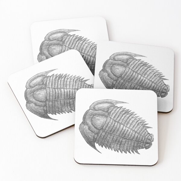 Item preview, Trilobite fossil  designed and sold by DoodleSnake58.