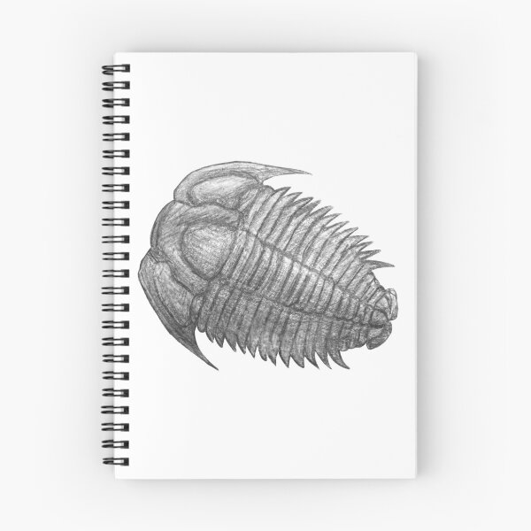 Item preview, Trilobite fossil  designed and sold by DoodleSnake58.
