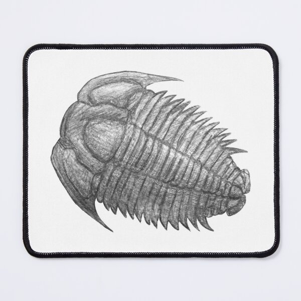 Item preview, Trilobite fossil designed and sold by DoodleSnake58.