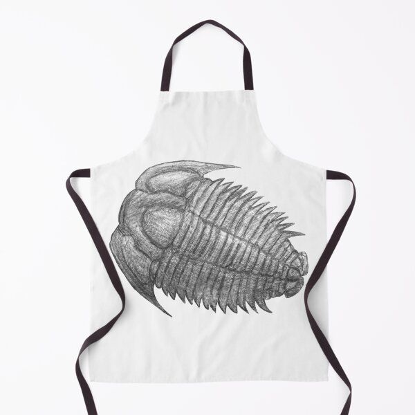 Item preview, Trilobite fossil designed and sold by DoodleSnake58.