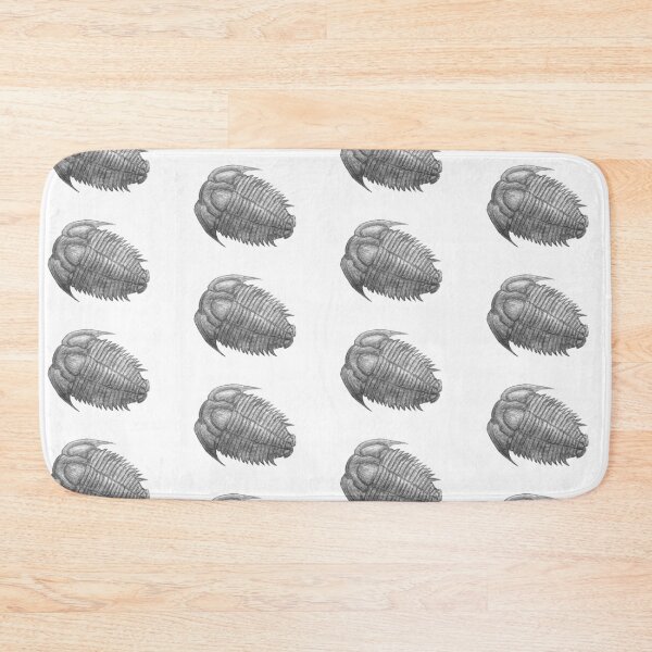 Item preview, Trilobite fossil  designed and sold by DoodleSnake58.