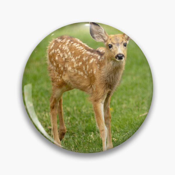 Item preview, Spotted Fawn in Lush Meadow designed and sold by Jarrett720.