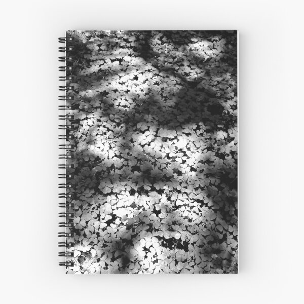 Item preview, Muir Woods Study 7  designed and sold by Robert Meyers-Lussier.
