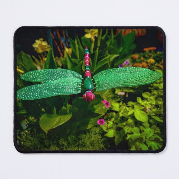 Item preview, Flying Solo designed and sold by Steve Walser.