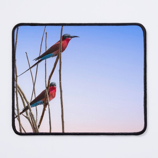 Item preview, Carmine Bee Eater designed and sold by Kay Brewer.