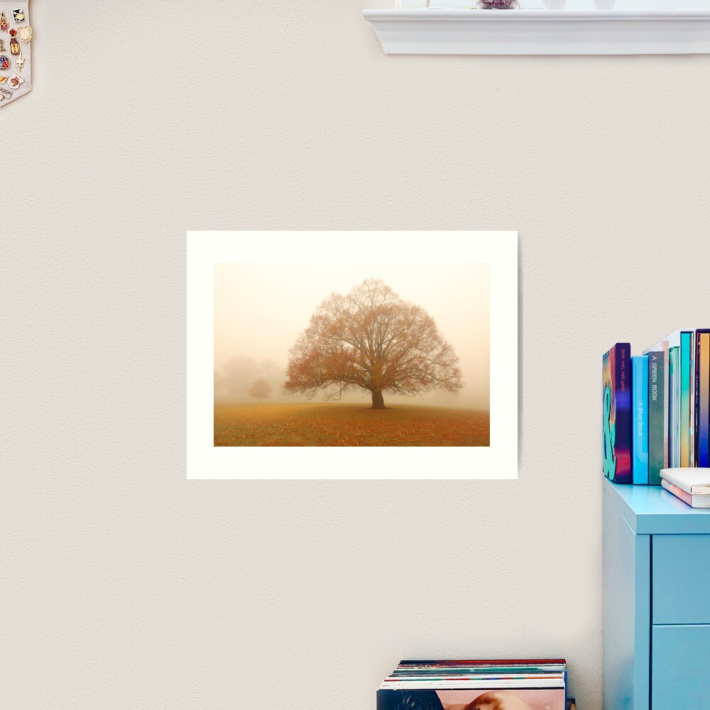 Autumn Fog, Daylesford, Australia Art Print