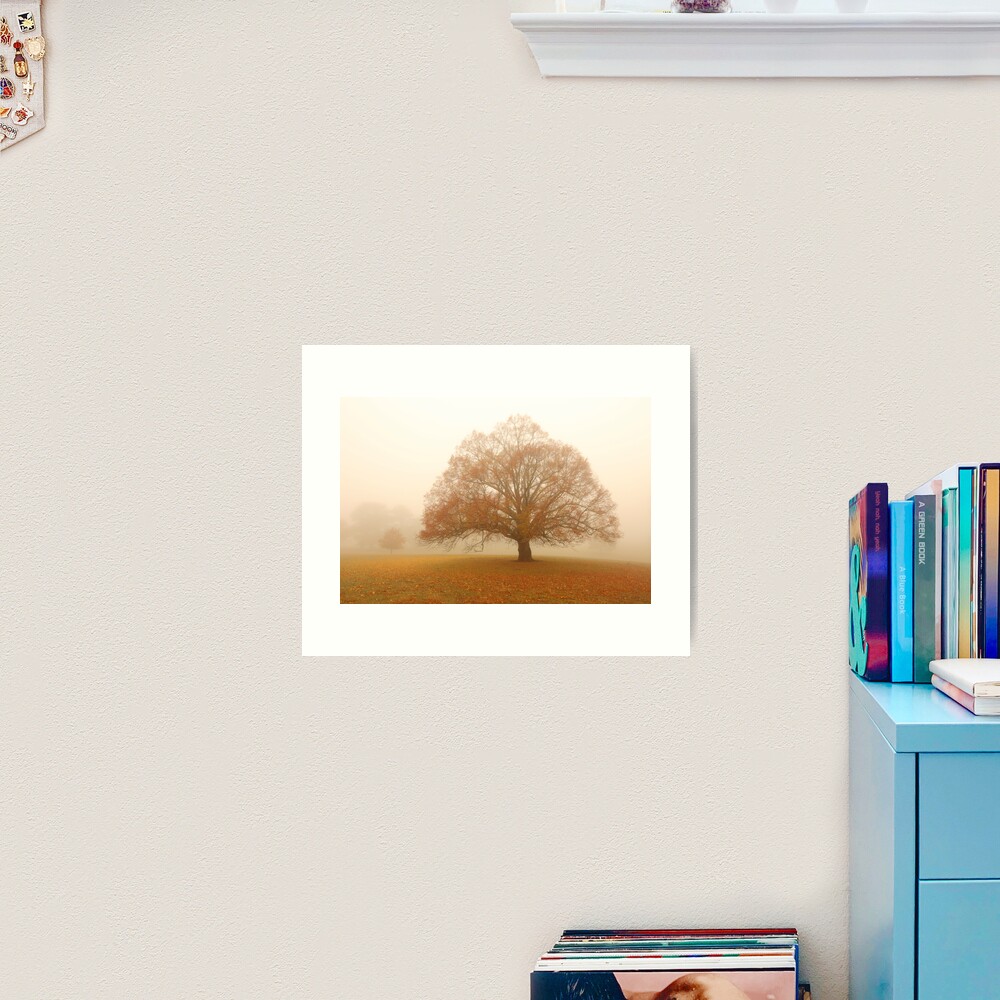 Autumn Fog, Daylesford, Australia Art Print
