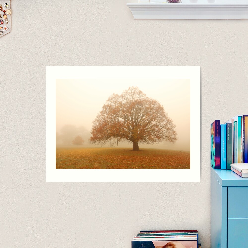 Autumn Fog, Daylesford, Australia Art Print