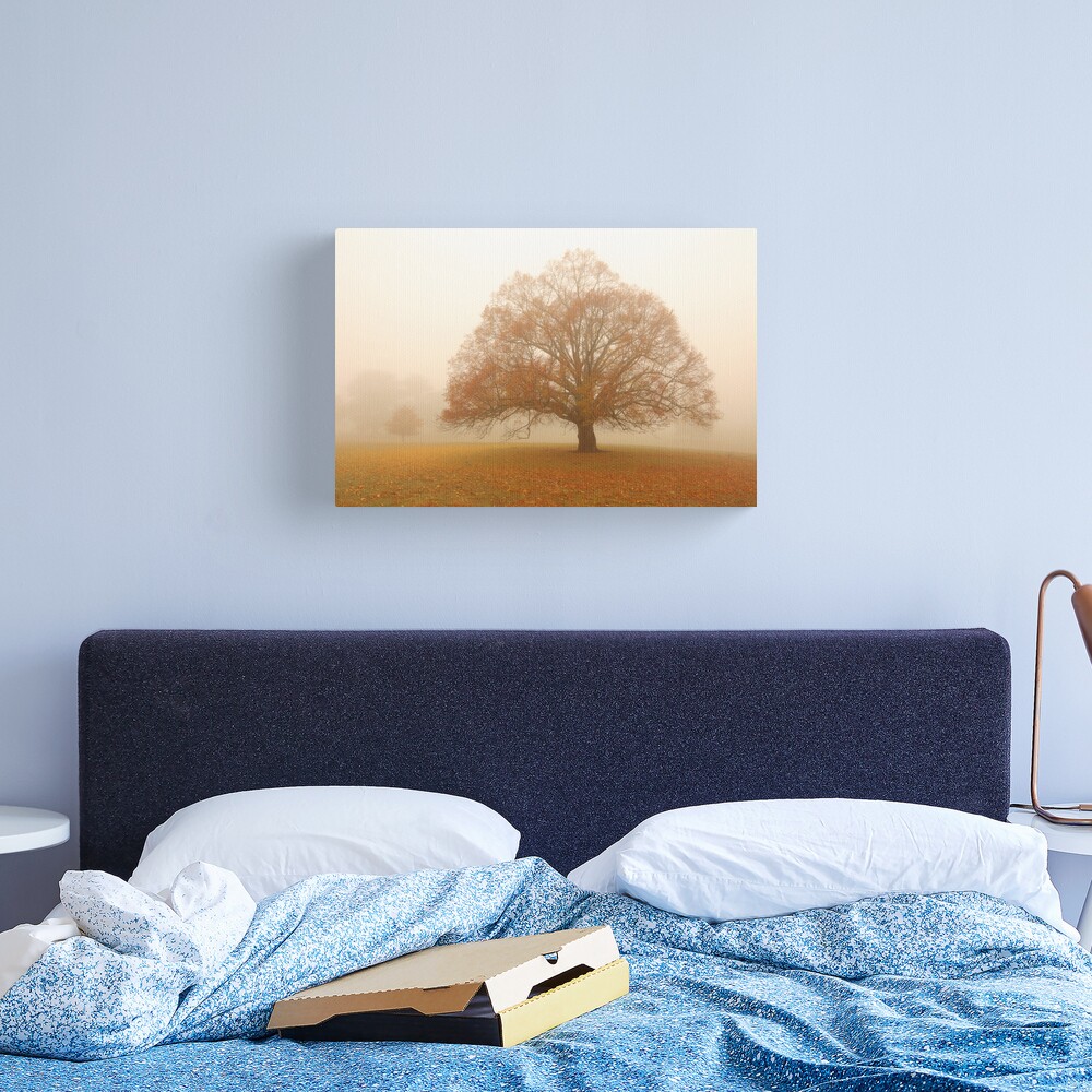 Autumn Fog, Daylesford, Australia Canvas Print