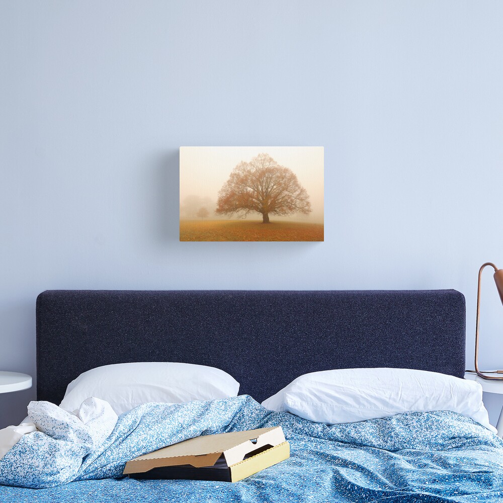Autumn Fog, Daylesford, Australia Canvas Print