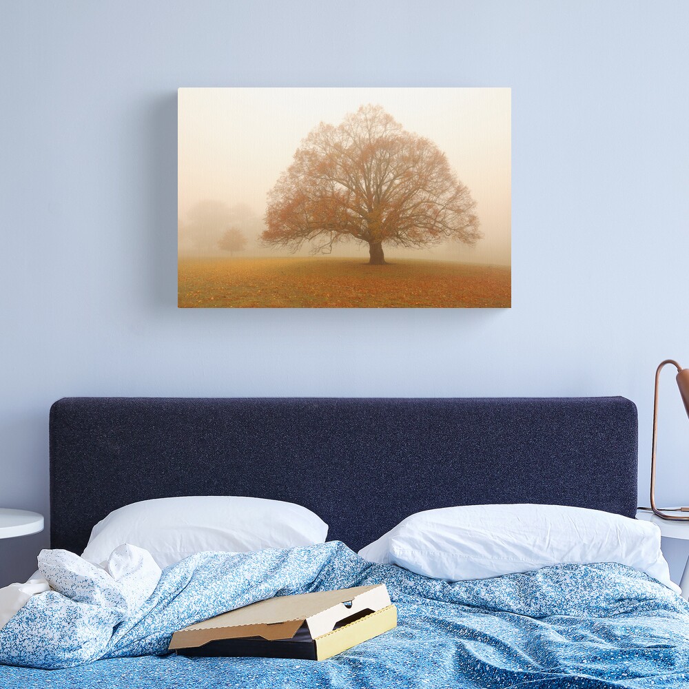 Autumn Fog, Daylesford, Australia Canvas Print