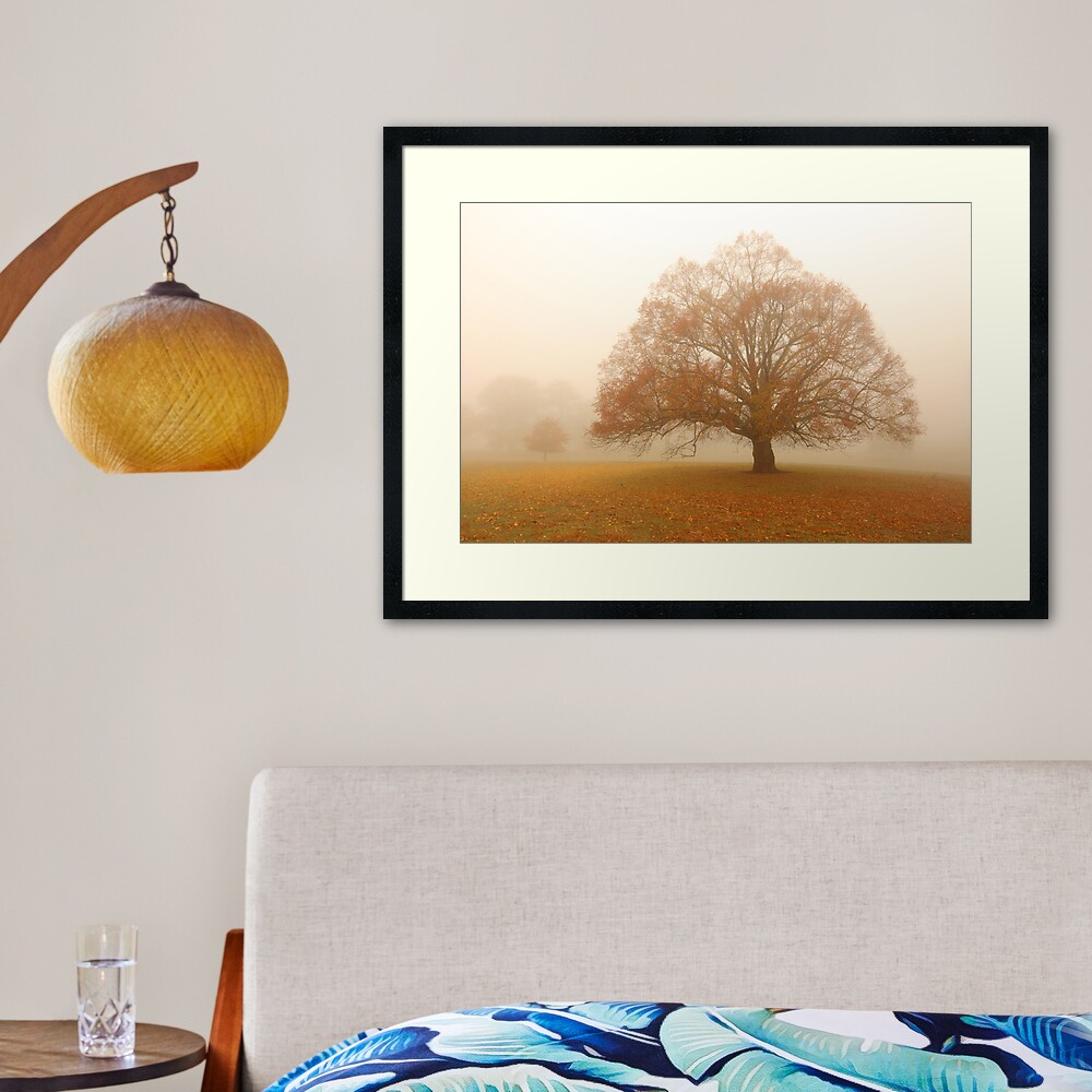 Autumn Fog, Daylesford, Australia Framed Art Print