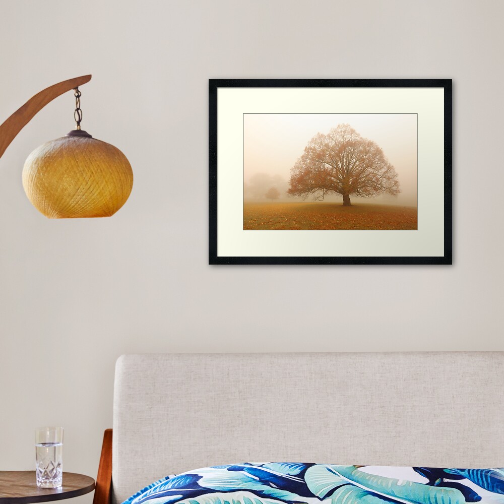 Autumn Fog, Daylesford, Australia Framed Art Print