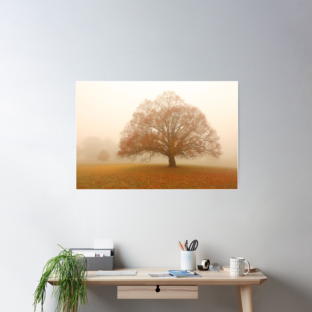 Autumn Fog, Daylesford, Australia Poster