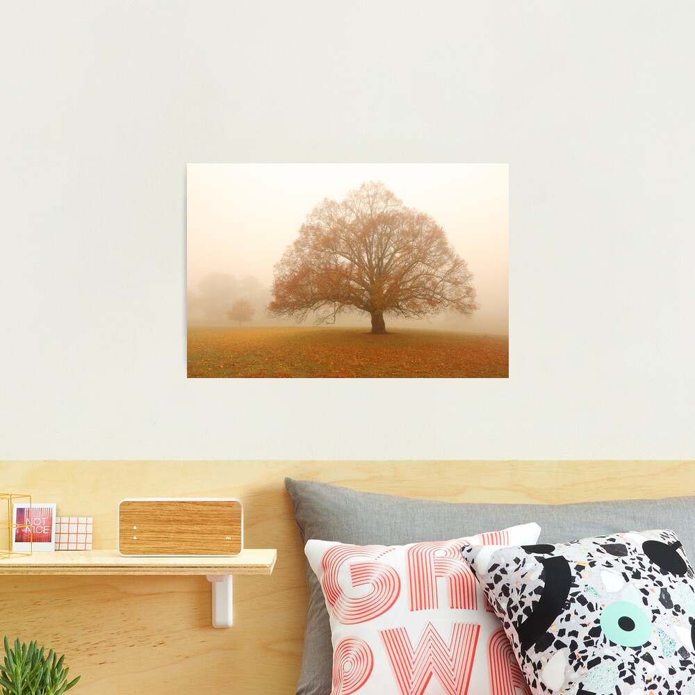 Autumn Fog, Daylesford, Australia Photographic Print