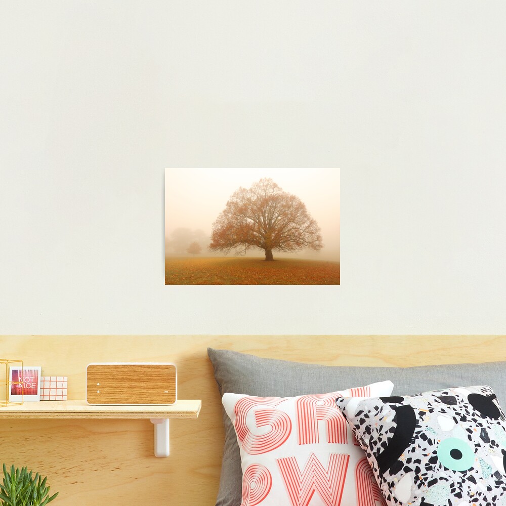 Autumn Fog, Daylesford, Australia Photographic Print