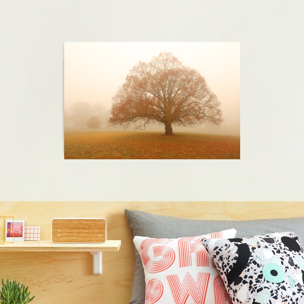 Autumn Fog, Daylesford, Australia Photographic Print